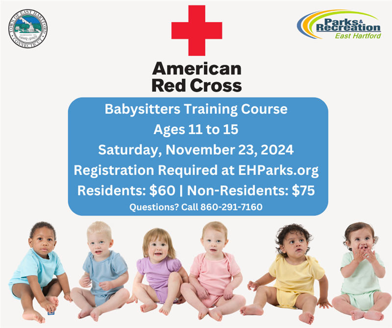 Babysitters Training Course